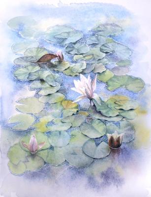 ���� � ���������� (������ ��������). �������� ����