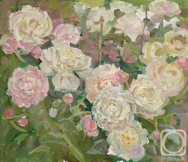 ������� ������ �� ������. �������� ������. ����� � ������������ ����