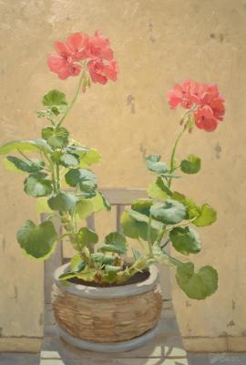 �� ��� ������� ������