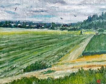 In the field (Birds In The Sky). Gudkov Andrey