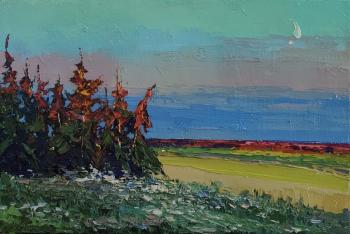 ������. ���������� �������