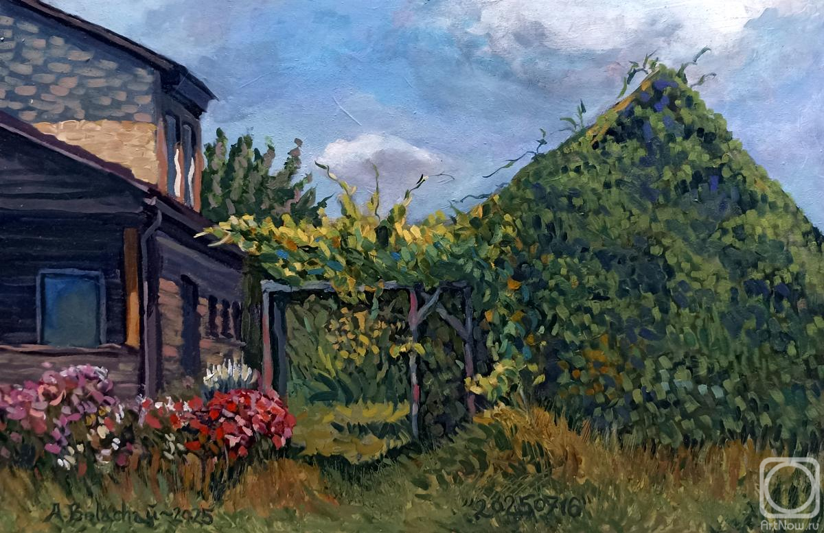 �������. ������� ���������. 20250716