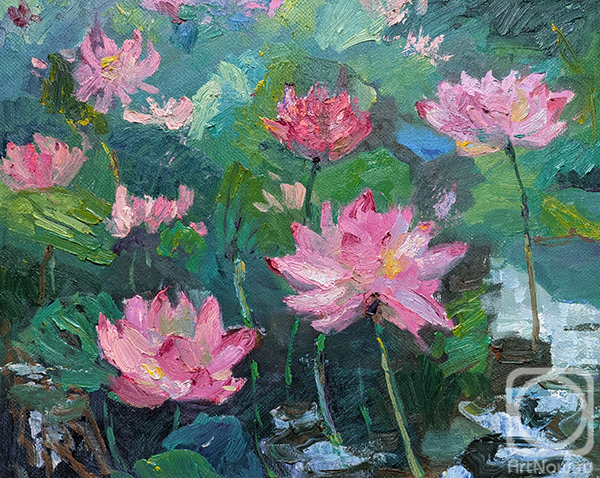 Popova Ekaterina. Untitled