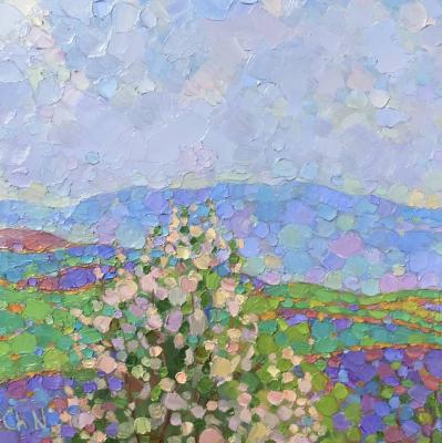 ������ 2025