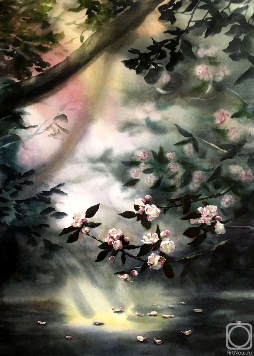 �������. ����������� ������. ������ ��� �����