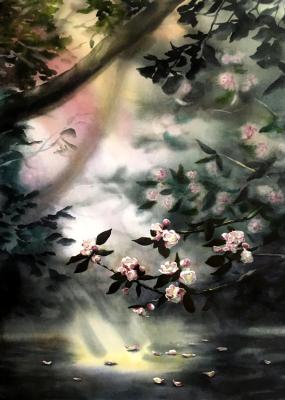 ������� ������� ��� �����