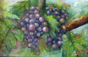 ����������� ������� (�������� ����). �������� ���������