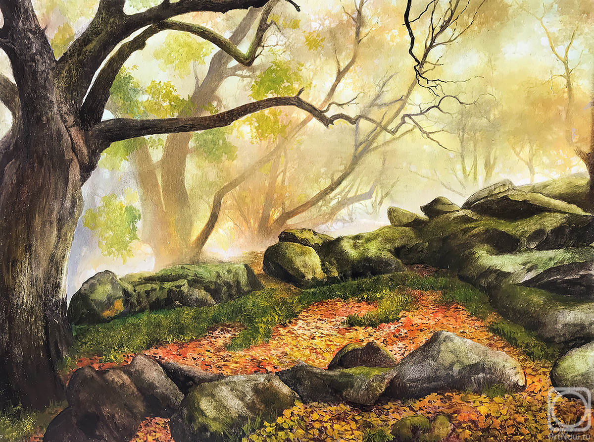 ������� ������ �� ������. �������� ��������. ���� ��� �������