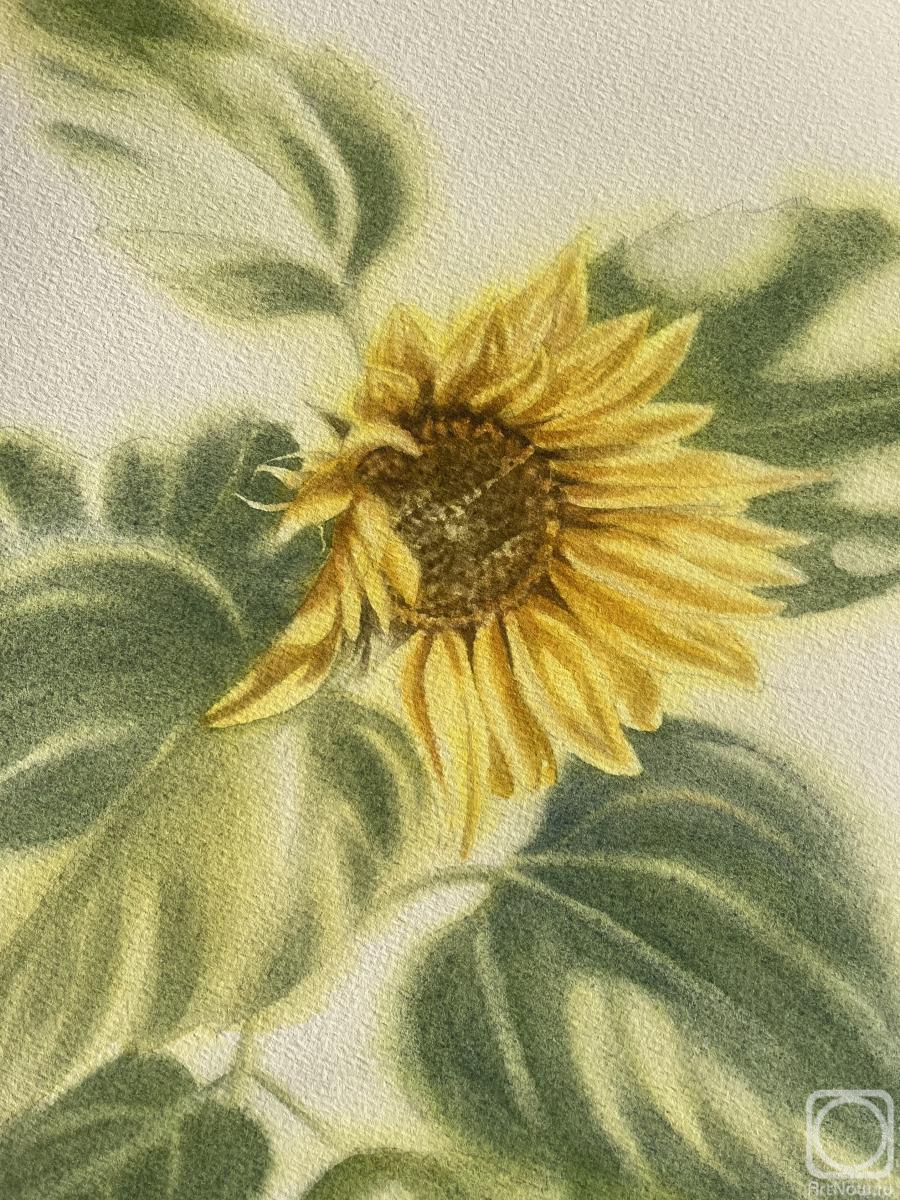 �������. ���������� ����. ���������