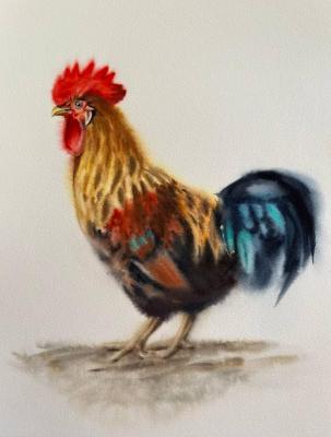 �������. ���������� ����