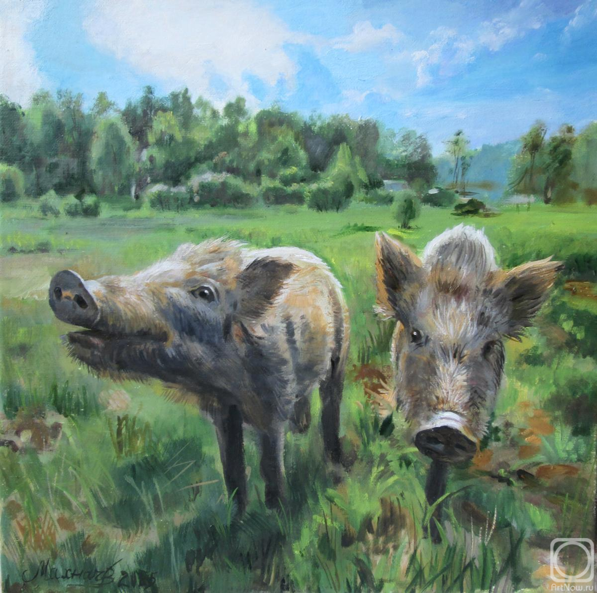 ������� ������ �� ������. ������ �������. ���-�� �� ������� �������