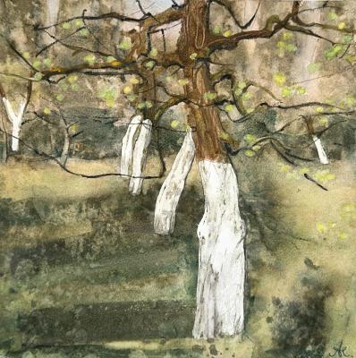 �������� ���. ��������� ��������