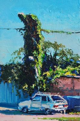 ������� ����������