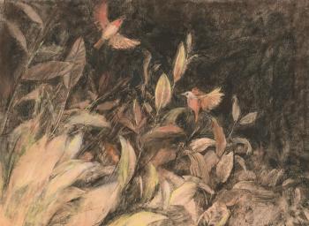 ������� ����