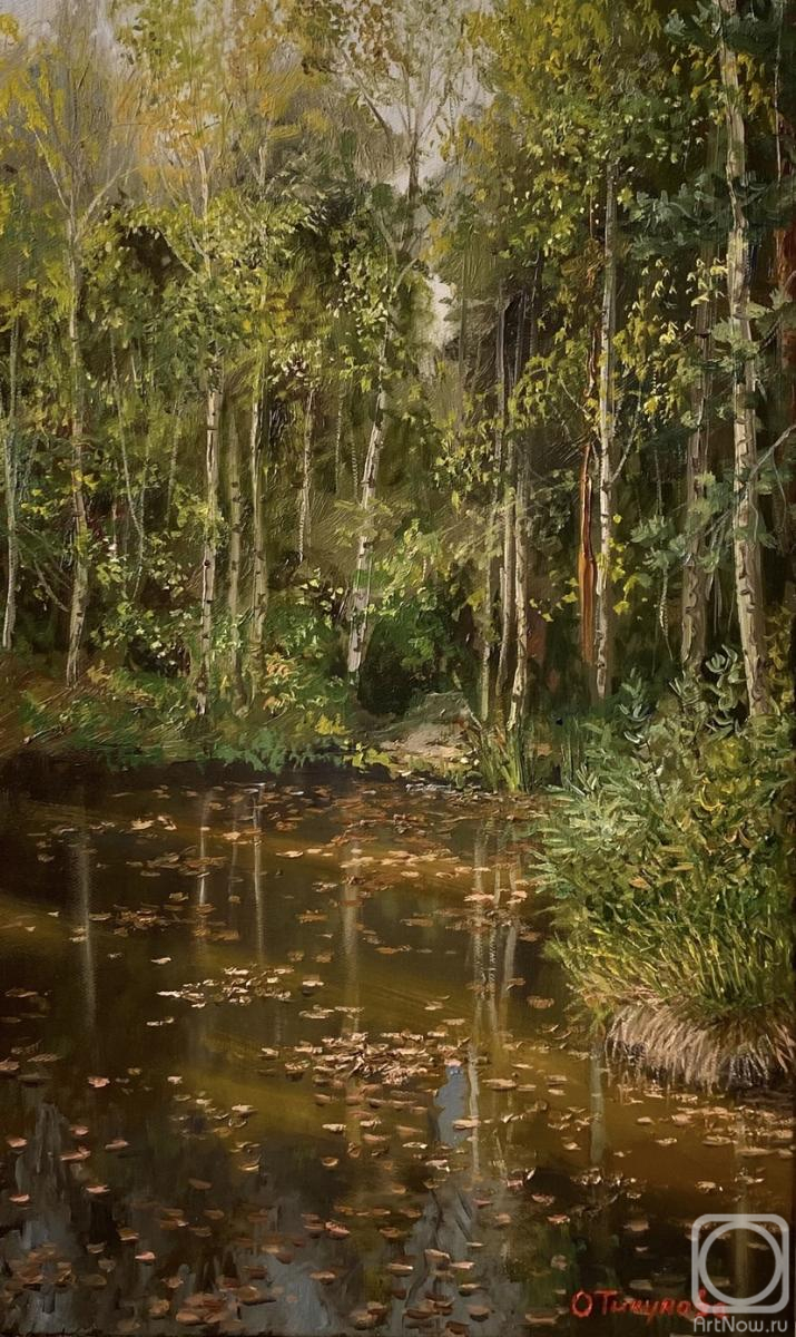 ������� ������ �� ������. �������� �����. ������ �����, ������ ��������