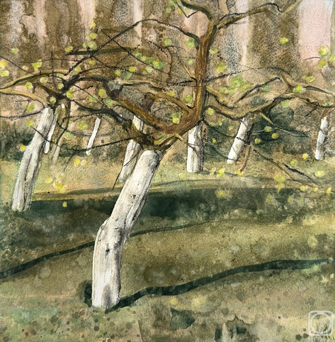 �������. ��������� ��������. �������� ���. �����������