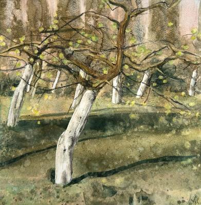 �������� ���. �����������. ��������� ��������