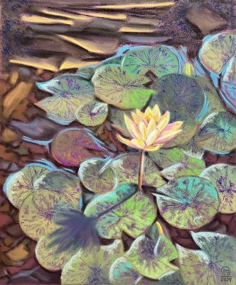 ������ ��������. �������� ������