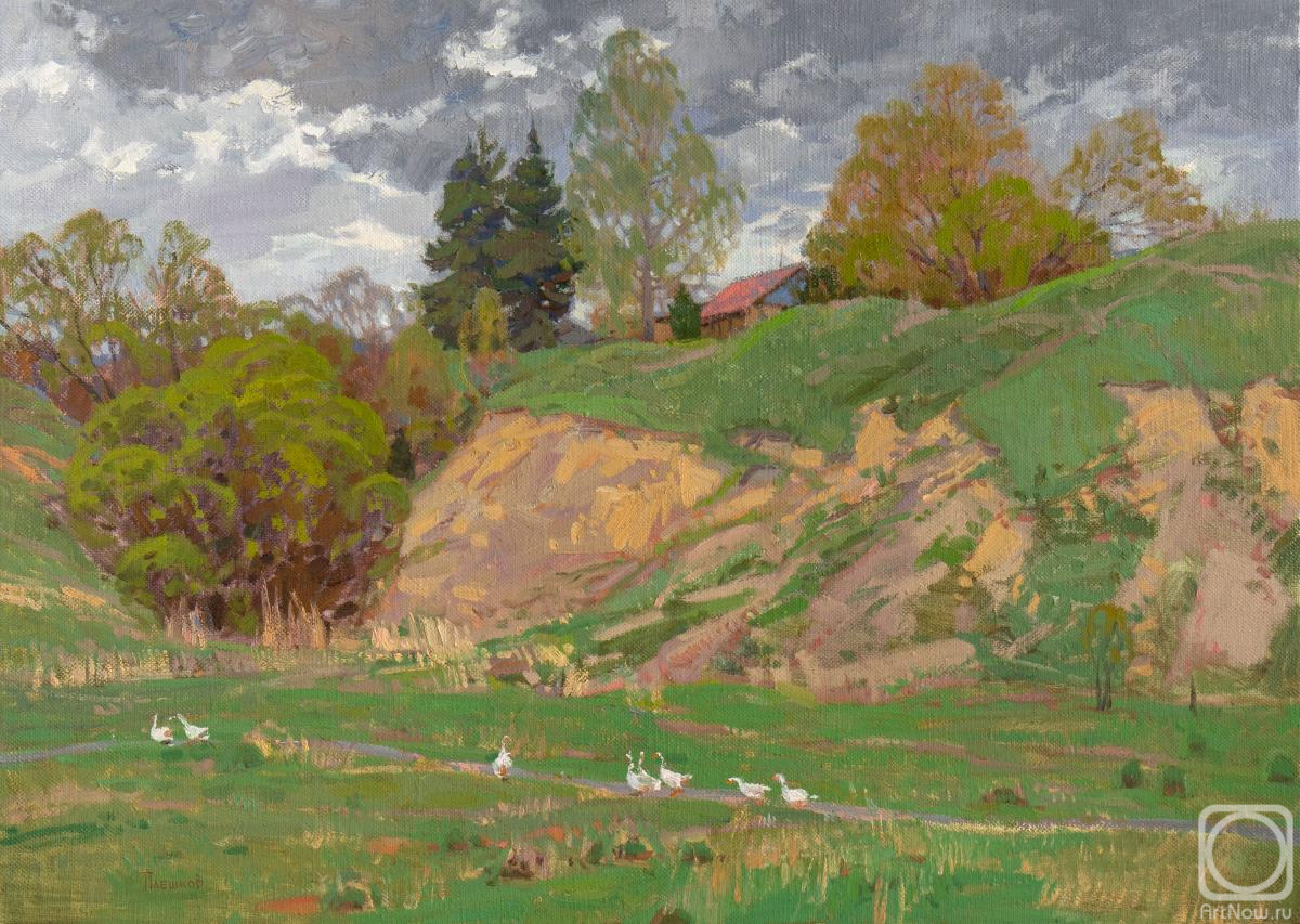 Pleshkov Aleksey. Untitled