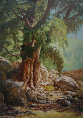 Panov Eduard Eduardovich. Untitled