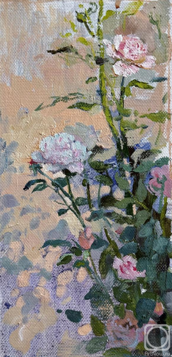 Emelyanova Taisiya. Untitled