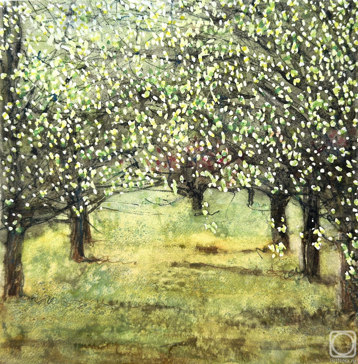 �������. ��������� ��������. �������� ���