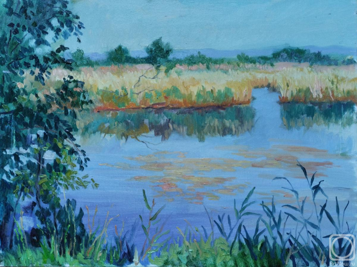 �������. ��������� ������. ��������� ����