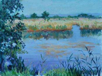 ��������� ����. ��������� ������