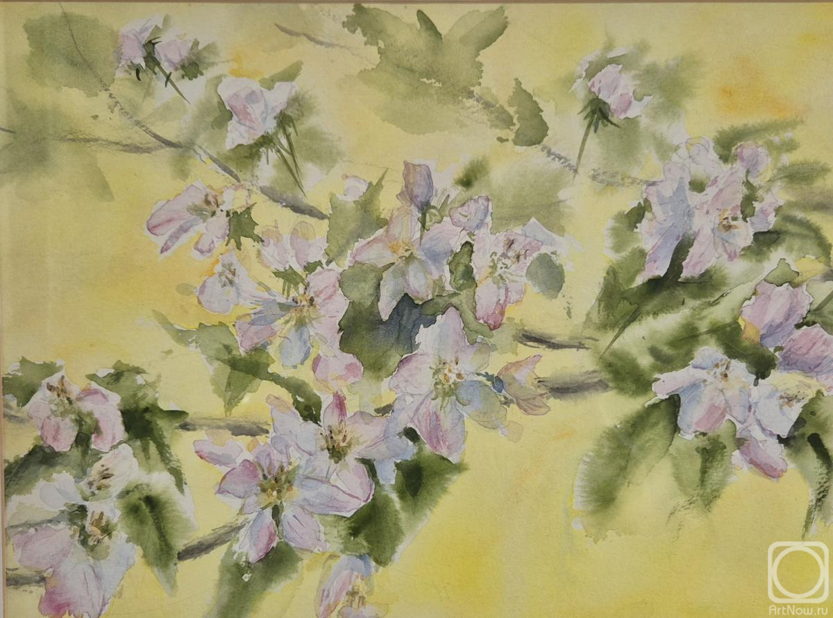 �������. ���������� ���������. ������ � �����