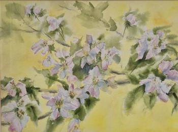 ������ � �����