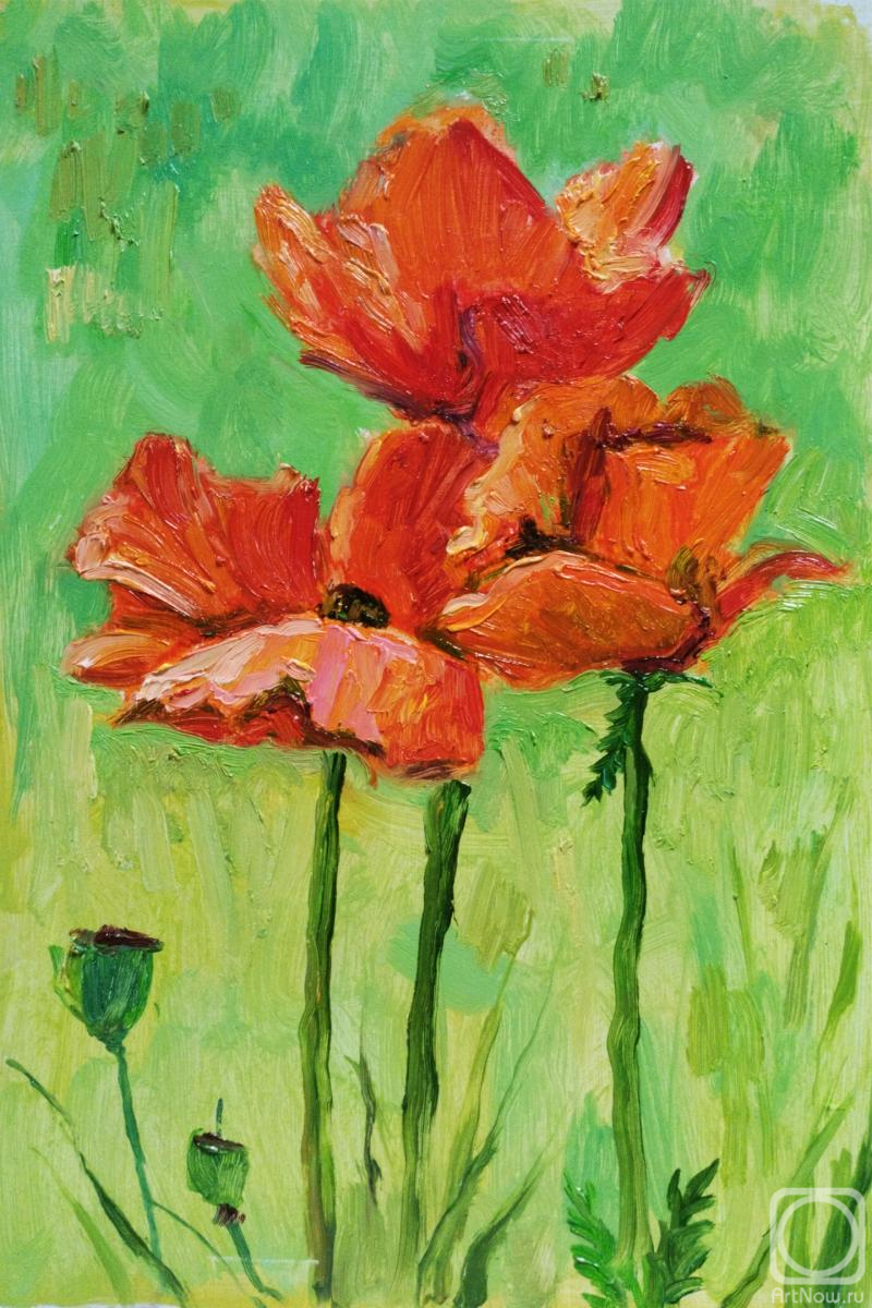 �������. ��������� ������. ����