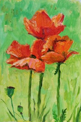 ������� �����