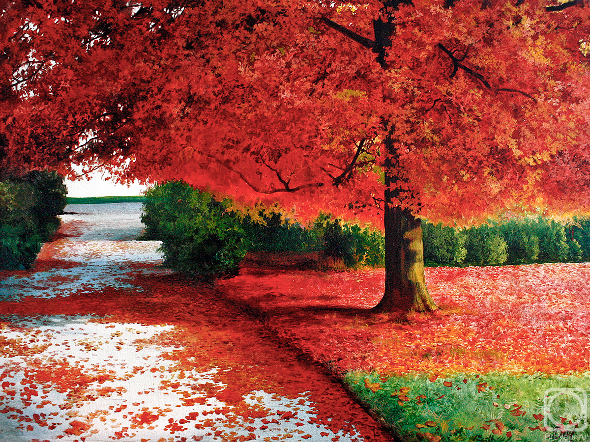 ������� ������ �� ������. �������� ��������. �������� �����