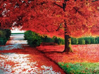 �������� �����. �������� ��������