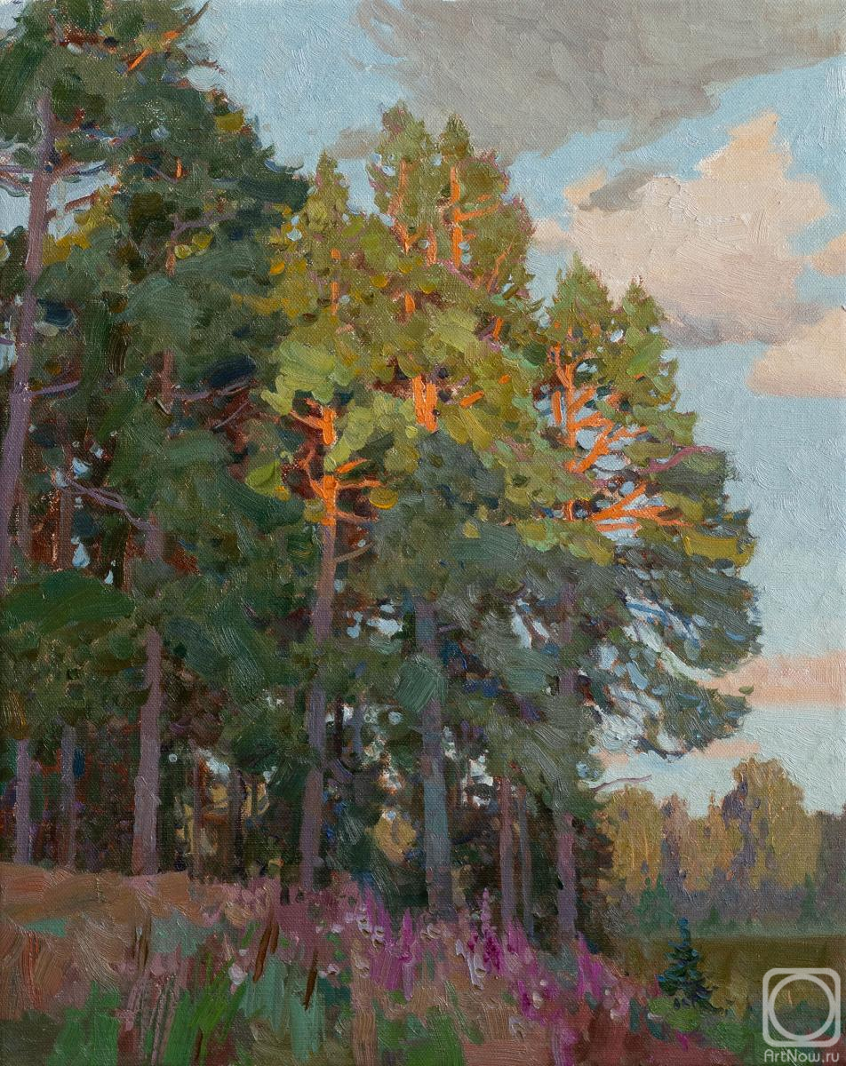 ������� ������ �� ������. ������� �������. ����� �� ����������