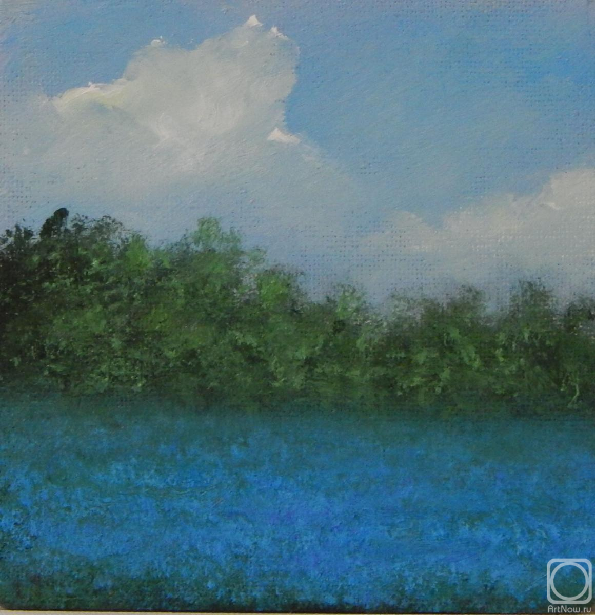 ������ �������. ������ ���������