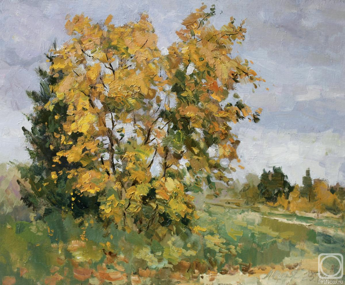 �������. �������������� ������. ��������� ���� ��������