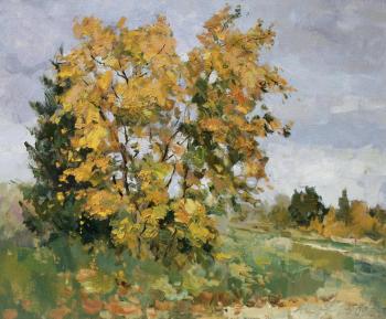 ������� ���������� ���� ���������