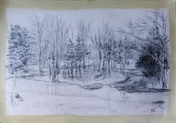 �������� ����