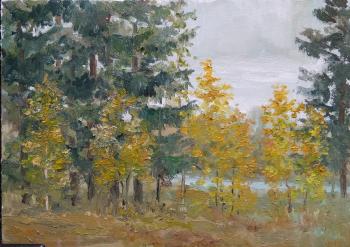 ������� ��������� �� ������