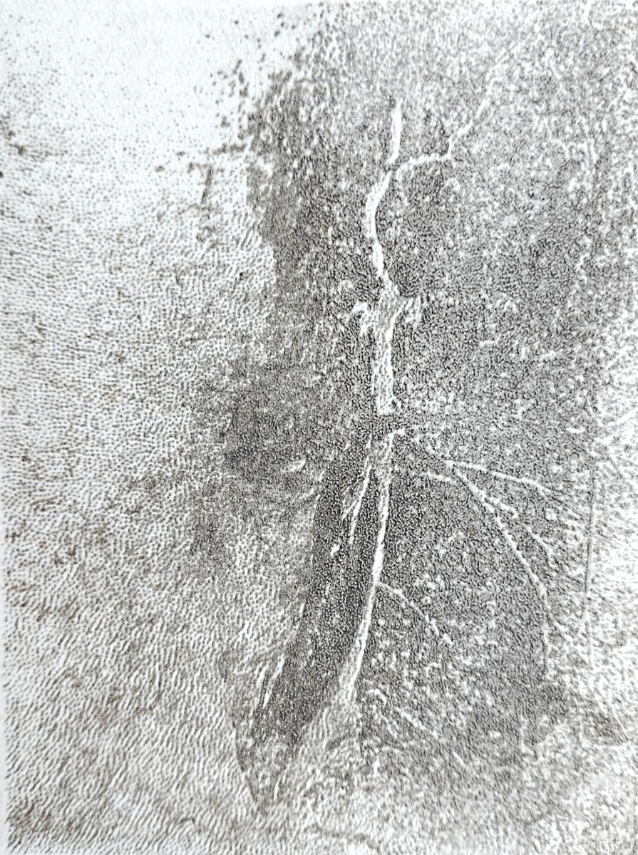 �������. �������� ����. ������