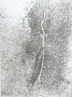 ������. �������� ����