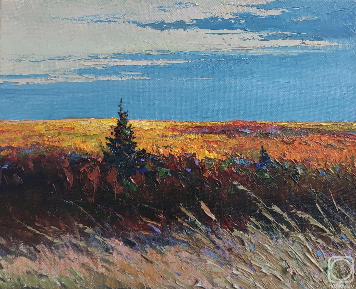 ������� ������ �� ������. ���������� �������. ���� ������