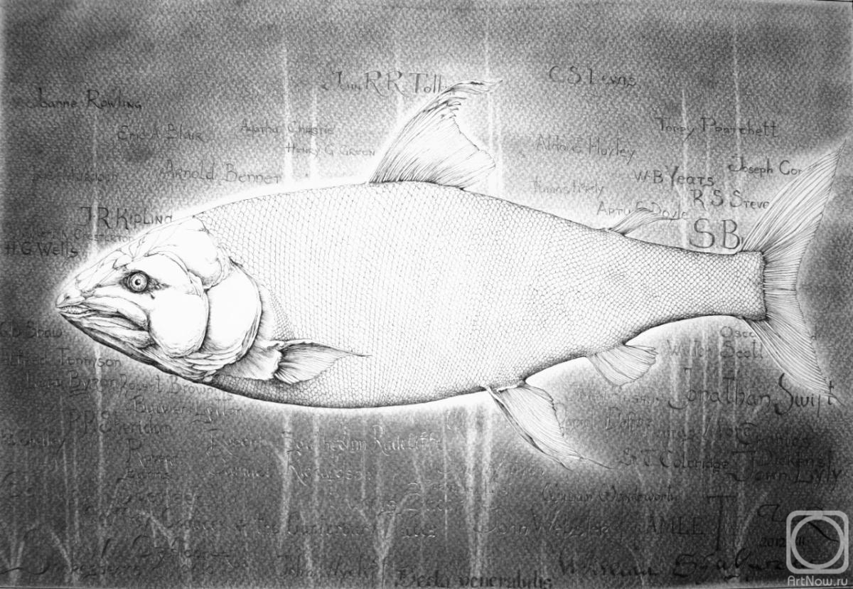 �������. ��������� ������. ������ �������� 1