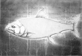 ������� ������� �������� 1�