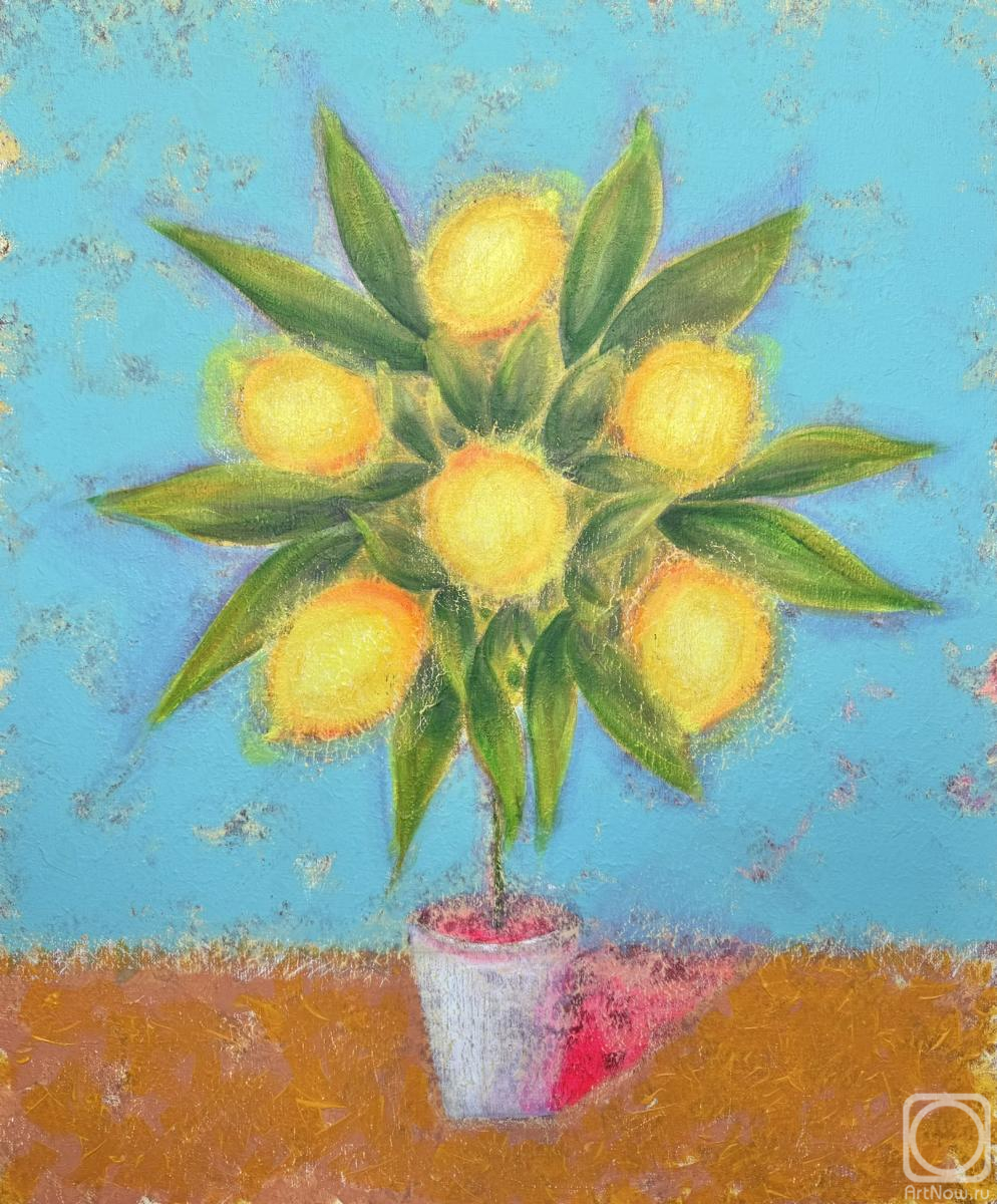 �������. ��������� �������. �������� ������ �� ����� ������� ����