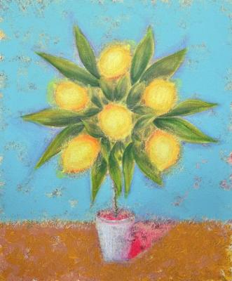 �������� ������ �� ����� ������� ����. ��������� �������