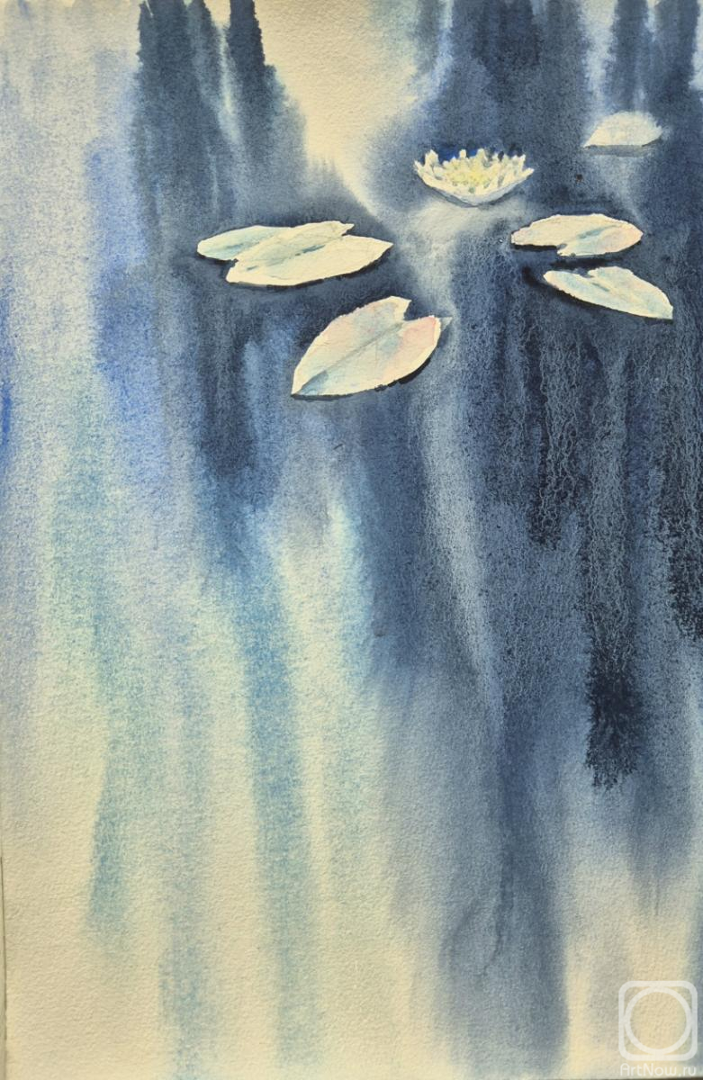 �������. ���������� ���������. ��������