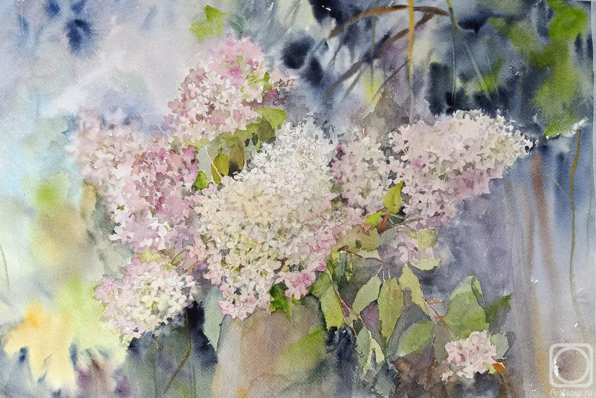 �������. �������� �����. ���������