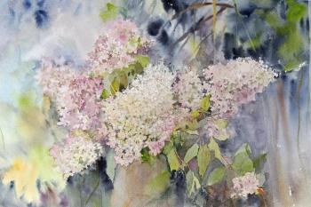 ���������. �������� �����